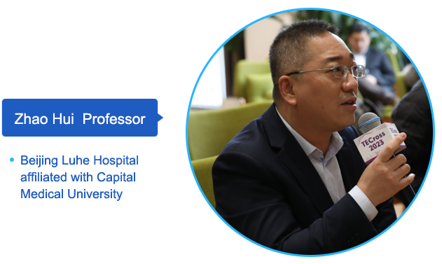 4 Zhao Hui.png