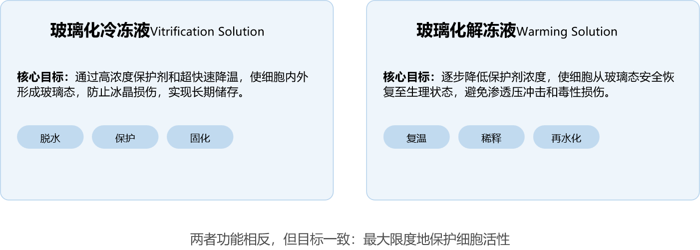 2图片2.png